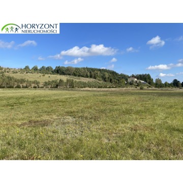 Działka budowlana Donimierz sprzedam, pow. 2634 m2  (26.3a) - zdjęcie 7