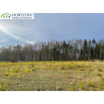 Działka budowlana Kamień sprzedam, pow. 1262 m2  (12.6a) - zdjęcie 4