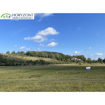 Działka budowlana Donimierz sprzedam, pow. 2634 m2  (26.3a) - zdjęcie 4