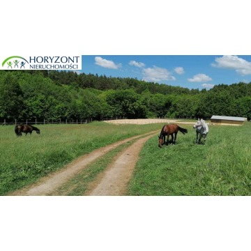 Działka budowlana Łebno sprzedam, pow. 1201 m2  (12a) - zdjęcie 6