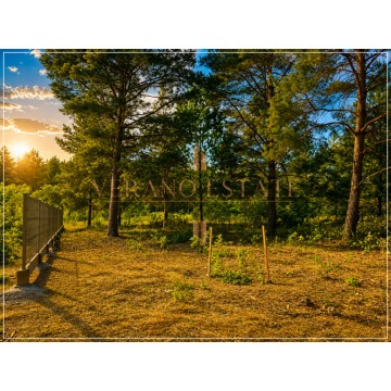 Działka budowlana Osowiec sprzedam, pow. 1243 m2  (12.4a) - zdjęcie 6