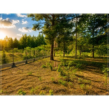 Działka budowlana Osowiec sprzedam, pow. 1243 m2  (12.4a) - zdjęcie 4