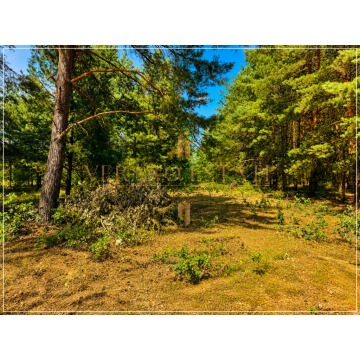 Działka budowlana Osowiec sprzedam, pow. 1243 m2  (12.4a) - zdjęcie 5