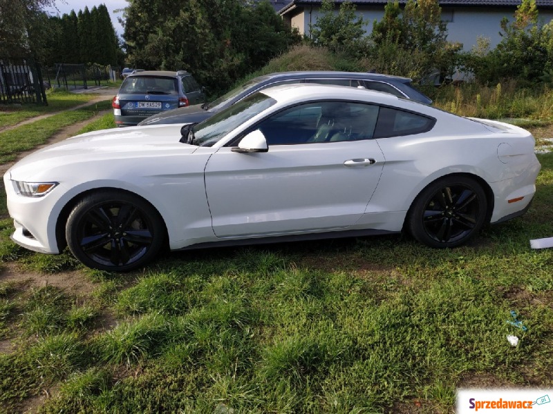 Ford Mustang 2017 benzyna - Na sprzedaż za 70 725 zł - Wrocław