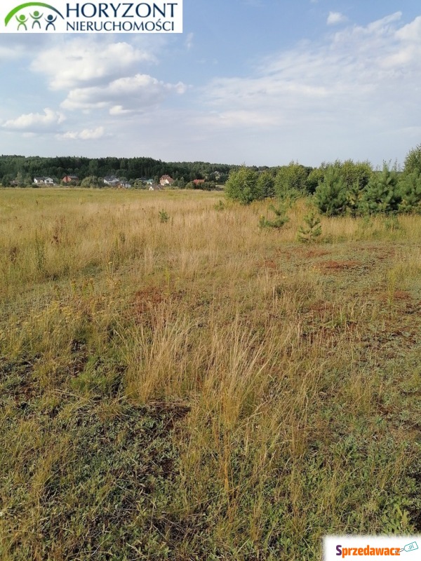 Koleczkowo - działki budowlane - Działki na sprzedaż - Koleczkowo