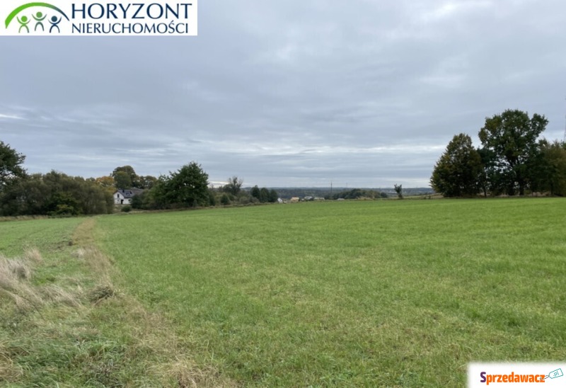 Działka  na sprzedaż, 1000m², żukowo - Działki na sprzedaż - Żukowo
