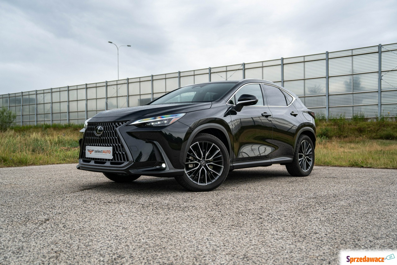 Lexus NX 2023