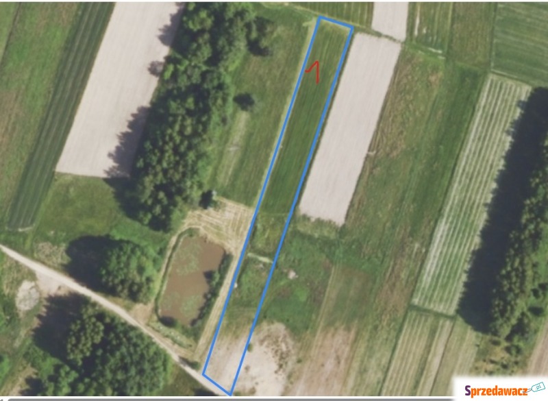 Działka rolna Zapole sprzedam, pow. 3400 m2  (34a)