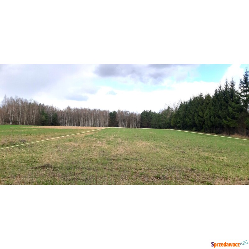 Działka Raków sprzedam, pow. 2559 m2  (25.6a), uzbrojona