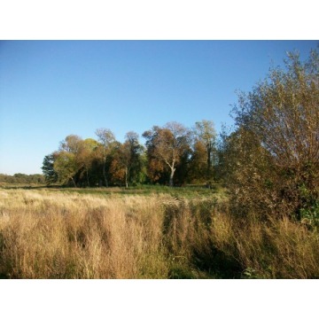 Działka inwestycyjna Łasin Koszaliński sprzedam, pow. 70 000 m2  (7ha) - zdjęcie 3