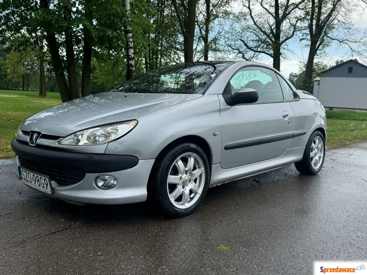 Peugeot 206 CC 2001