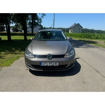 Volkswagen Golf  Liftback 2013,  1.6 diesel - Na sprzedaż za 28 900 zł - Kobielice - zdjęcie 2