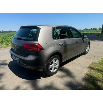 Volkswagen Golf  Liftback 2013,  1.6 diesel - Na sprzedaż za 28 900 zł - Kobielice - zdjęcie 5