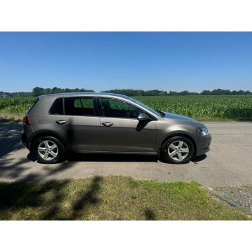 Volkswagen Golf  Liftback 2013,  1.6 diesel - Na sprzedaż za 28 900 zł - Kobielice - zdjęcie 6