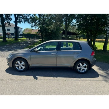 Volkswagen Golf  Liftback 2013,  1.6 diesel - Na sprzedaż za 28 900 zł - Kobielice - zdjęcie 8