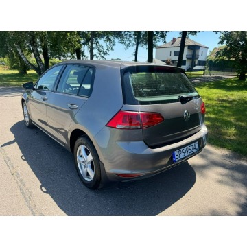 Volkswagen Golf  Liftback 2013,  1.6 diesel - Na sprzedaż za 28 900 zł - Kobielice - zdjęcie 9