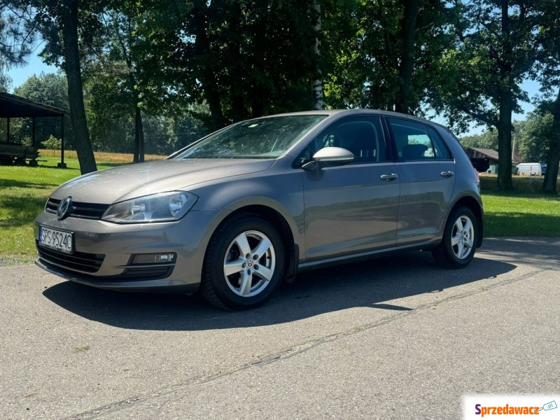 Volkswagen Golf  Liftback 2013,  1.6 diesel - Na sprzedaż za 28 900 zł - Kobielice
