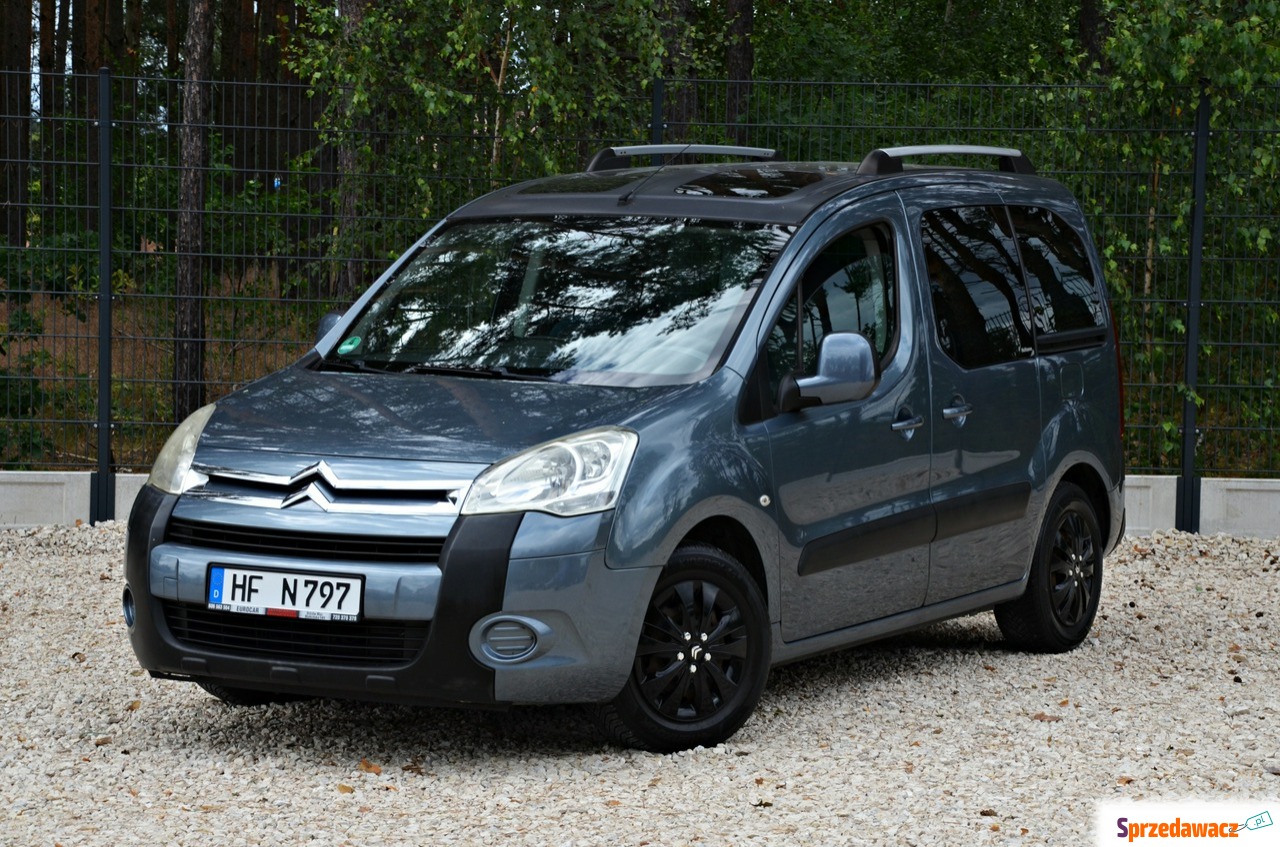 Citroen Berlingo 2010