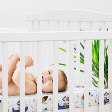 Efapel R1 MATERAC STANDARD KIDS MIŚ I LIS