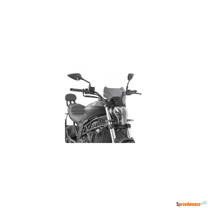 GIVI 1173S SZYBA DYMIONA 22 x 31...
