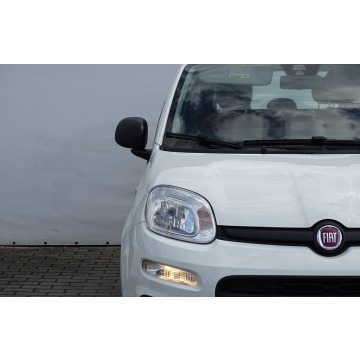 Fiat   Hatchback 2020,  1.2 benzyna - Na sprzedaż za 37 900 zł - Mielec - zdjęcie 2