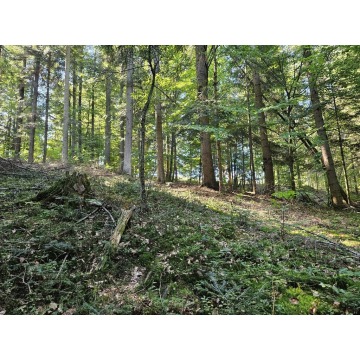 Działka rolna Żurowa sprzedam, pow. 20 050 m2  (2.01ha) - zdjęcie 3