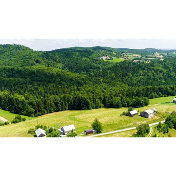 Działka rolno-leśna- Żurowa- Małopolska