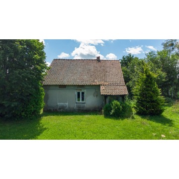 Sprzedam dom Sówki - ,  pow.  99 m2,  działka:   4700 m2 - zdjęcie 5