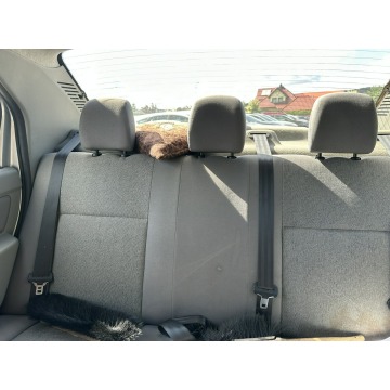 Dacia Logan  Sedan/Limuzyna 2007,  1.4 benzyna - Na sprzedaż za 9 800,00 zł - Wejherowo - zdjęcie 4