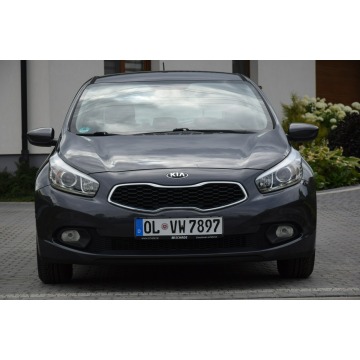 Kia Ceed  Hatchback 2013,  1.4 benzyna - Na sprzedaż za 24 900 zł - Majdan Sieniawski - zdjęcie 2