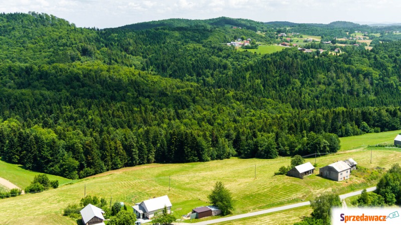 Działka rolna Żurowa sprzedam, pow. 20 050 m2  (2.01ha)