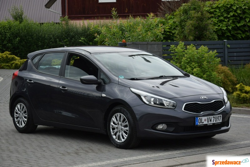 Kia Ceed  Hatchback 2013,  1.4 benzyna - Na sprzedaż za 24 900 zł - Majdan Sieniawski