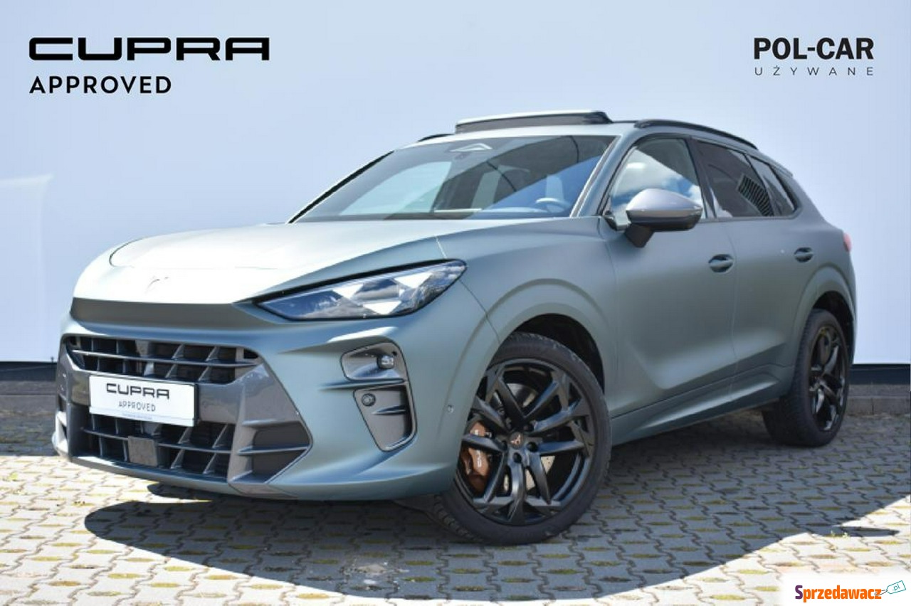 Cupra Terramar 2024