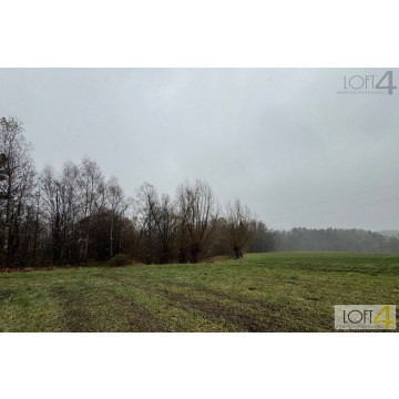 Budżetowa propozycja i/ lub ciekawa inwestycja. - Działki na sprzedaż - Mystków - zdjęcie 4