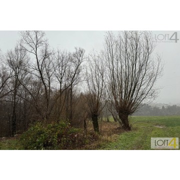 Budżetowa propozycja i/ lub ciekawa inwestycja. - Działki na sprzedaż - Mystków - zdjęcie 5