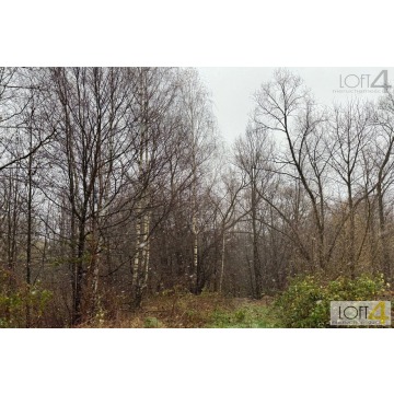 Budżetowa propozycja i/ lub ciekawa inwestycja. - Działki na sprzedaż - Mystków - zdjęcie 3