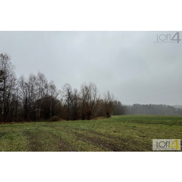 Budżetowa propozycja i/ lub ciekawa inwestycja. - Działki na sprzedaż - Mystków - zdjęcie 2