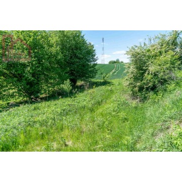 Działka Kuńkowce sprzedam, pow. 6971 m2  (0.7ha), uzbrojona - zdjęcie 7