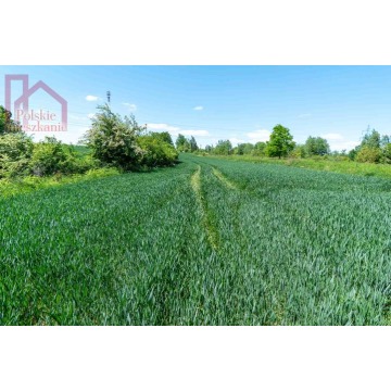 Działka Kuńkowce sprzedam, pow. 6971 m2  (0.7ha), uzbrojona - zdjęcie 5