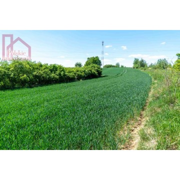 Działka Kuńkowce sprzedam, pow. 6971 m2  (0.7ha), uzbrojona - zdjęcie 3