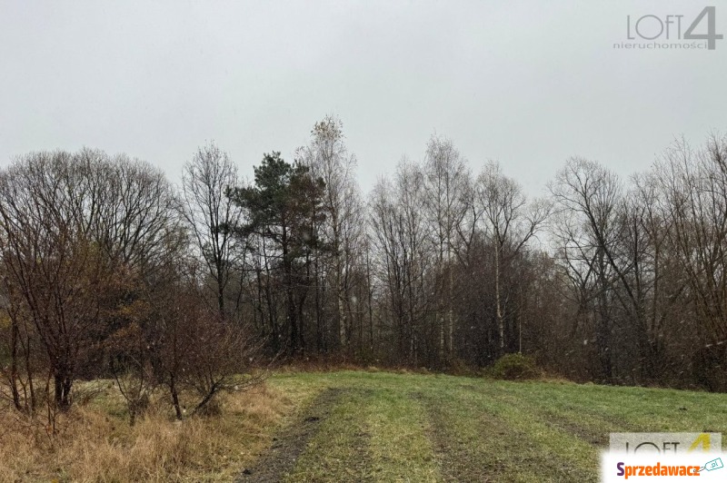 Budżetowa propozycja i/ lub ciekawa inwestycja. - Działki na sprzedaż - Mystków