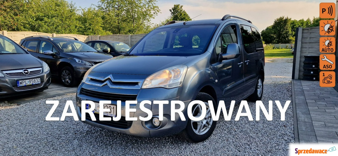 Citroen Berlingo 2010