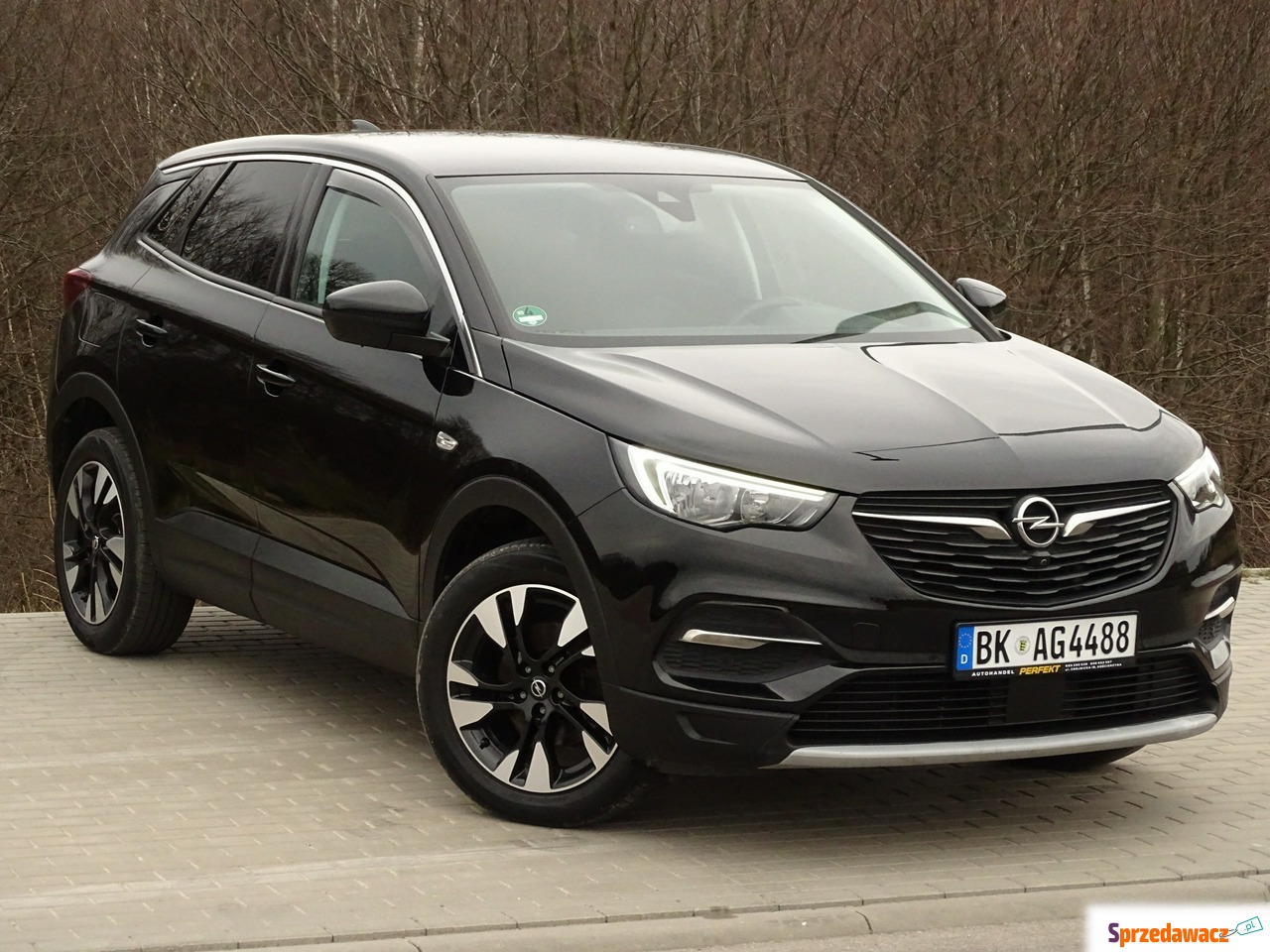Opel Grandland X 2018