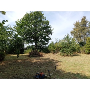 Działka rekreacyjna Złotkowo sprzedam, pow. 512 m2  (5.1a), uzbrojona - zdjęcie 2