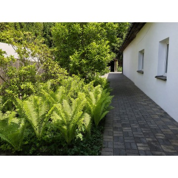 Wynajmę dom Janki - ,  pow.  80 m2,  działka:   800 m2 - zdjęcie 3