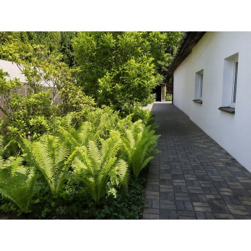 Wynajmę dom Janki - ,  pow.  80 m2,  działka:   800 m2 - zdjęcie 3