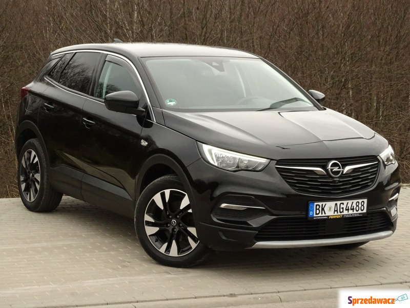 Opel Grandland X  SUV 2018,  1.5 diesel, automat - Na sprzedaż za 49 900 zł - Kościerzyna