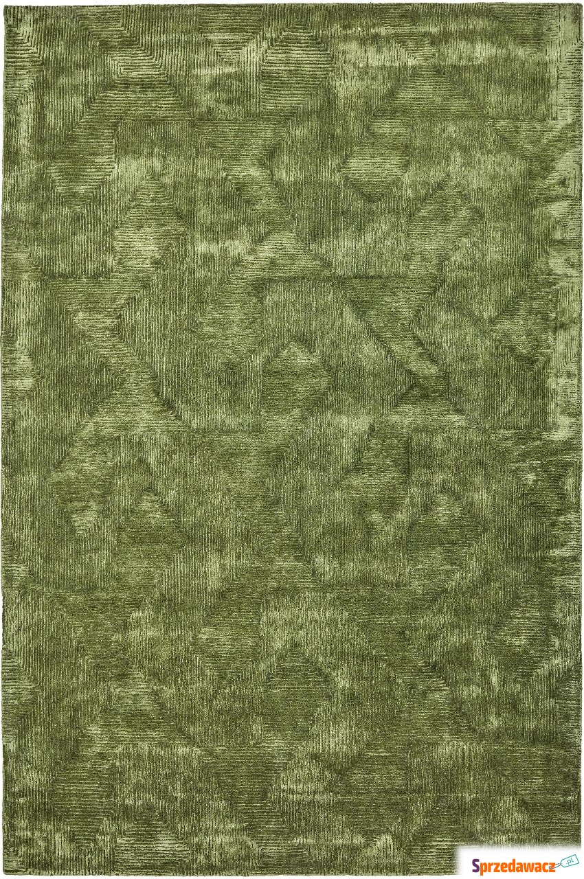 Dywan Shine 200 x 300 cm zielony