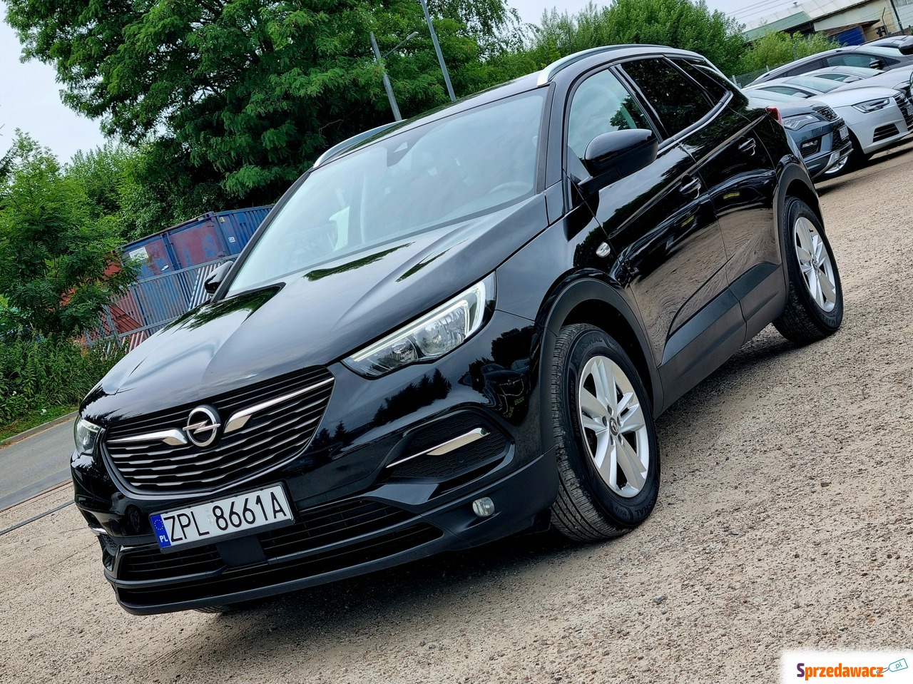 Opel Grandland X 2019