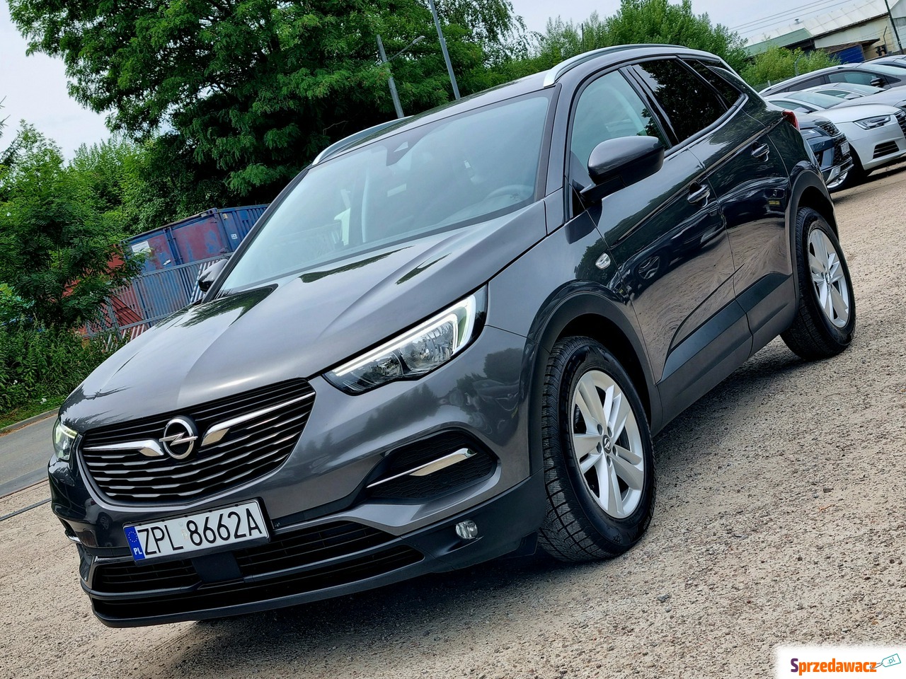 Opel Grandland X 2019